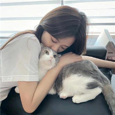 杀妻秘笈
